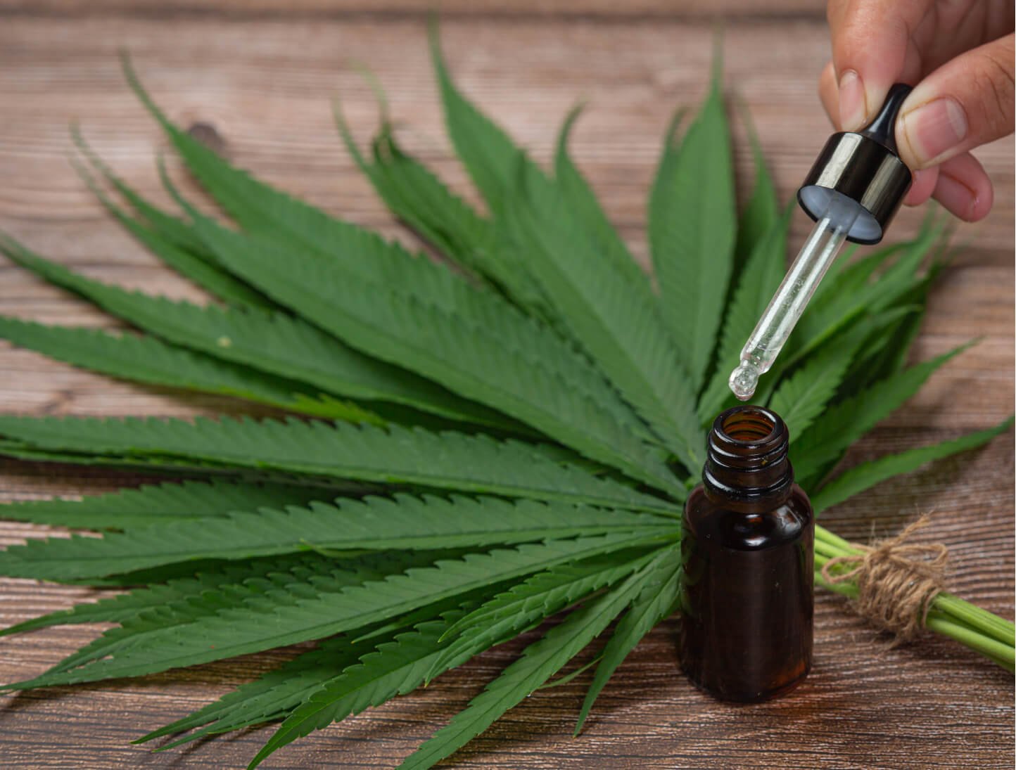 Dropper bottle alongside a hemp leaf