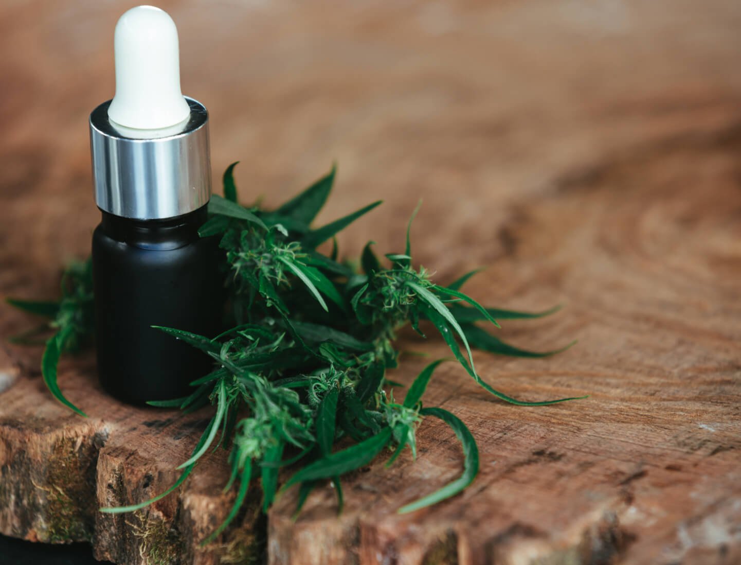An oil dropper bottle beside green hemp leaves on a wooden surface