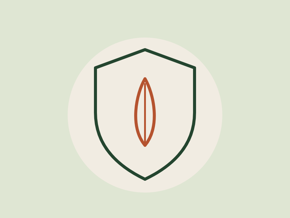 Line drawing of a shield with a leaf